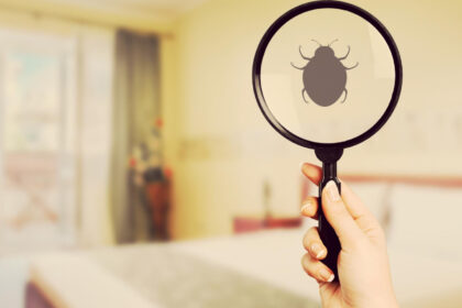 Comment trouver une entreprise fiable contre les punaises de lit à Montélimar ?